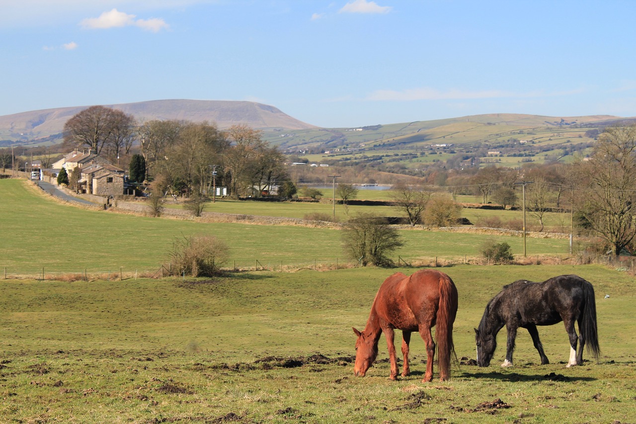 pendle hill witches
